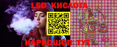 гашик Краснодар