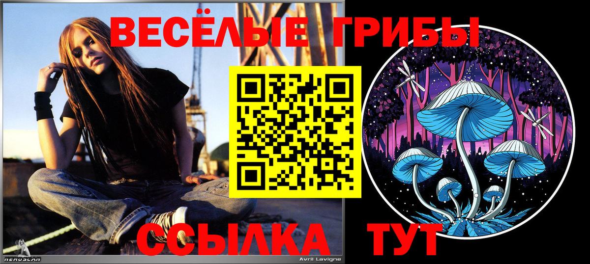 Галлюциногенные грибы Psilocybine cubensis  Вход с VPN  Кандалакша 