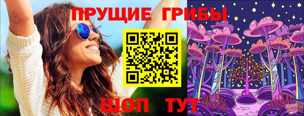 Псилоцибиновые грибы Psilocybe Кандалакша